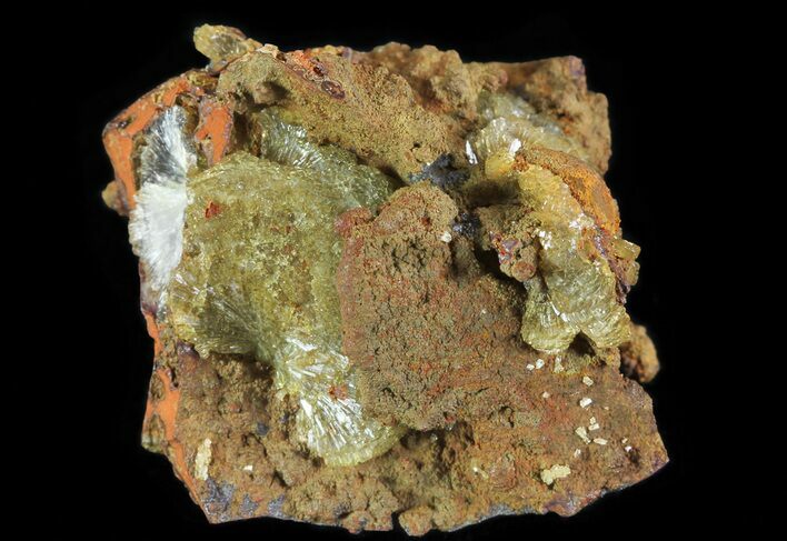 Gemmy, Yellow-Green Adamite Crystals - Durango, Mexico #65302